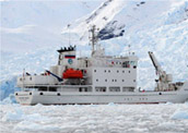 Antarktyda 2008