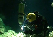 Rekord świata w najdłuższym nurkowaniu jaskiniowym - Meksyk 2005